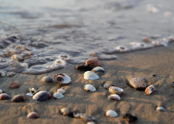 Вилла Pleasant One-bedroom With Pool La Fagiana